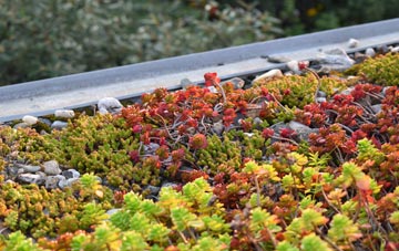 the cost of High Street Green green roof installation