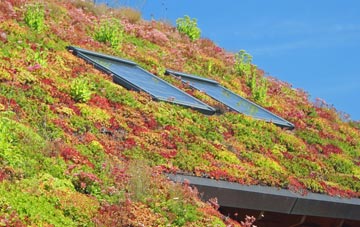 High Street Green living roof systems