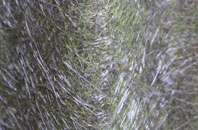 High Street Green fibreglass roof work
