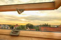 rated High Street Green roof window companies